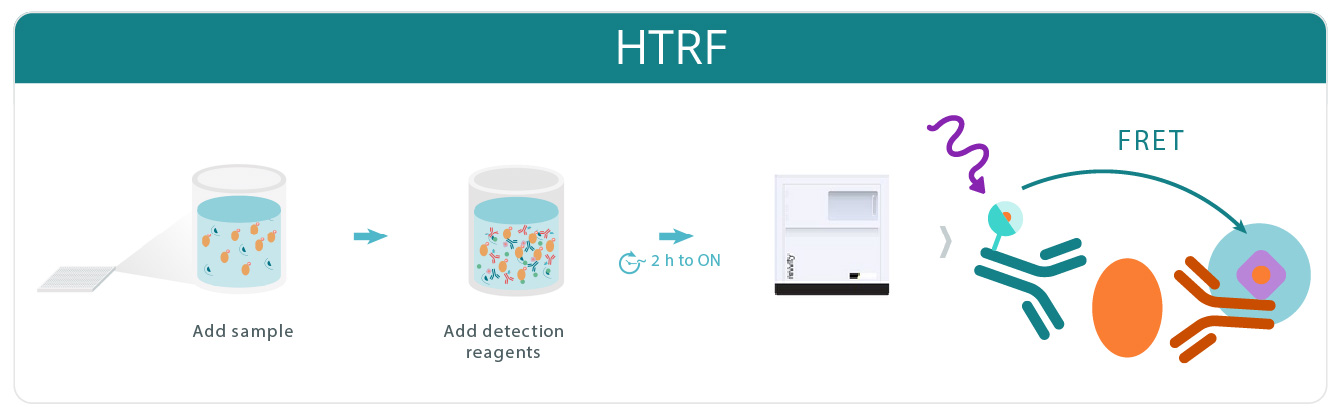 Banner Phenovue Revvity